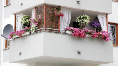Фото - Озеленение балконов — советы по выбору растений для лоджии и способу декорирования +30 фото
